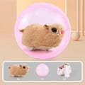 Hamster rolling ball toy with plush animal shell inside transparent plastic sphere