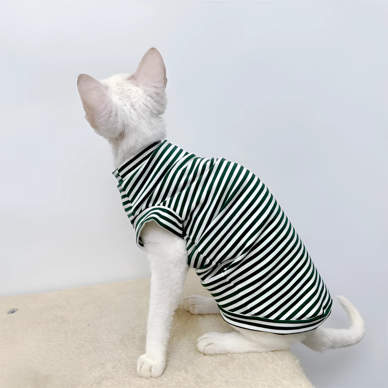 Winter stretch fleece vest for pets in green stripes on a small dog