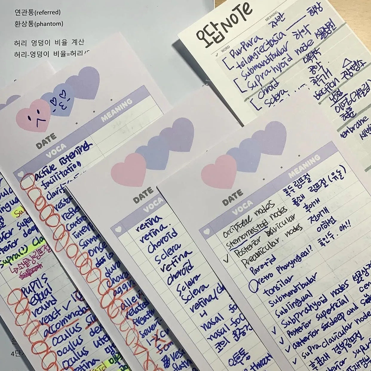 Vertical English words learning notepad in B5 half size with double-sided printing