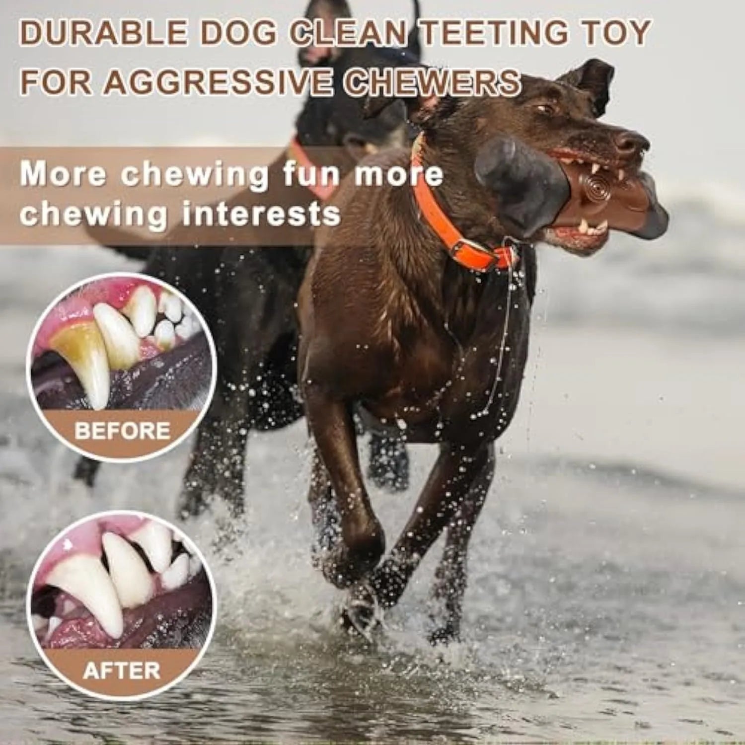 Durable branch-shaped nylon dog chew toy with squeaker for large breed aggressive chewers