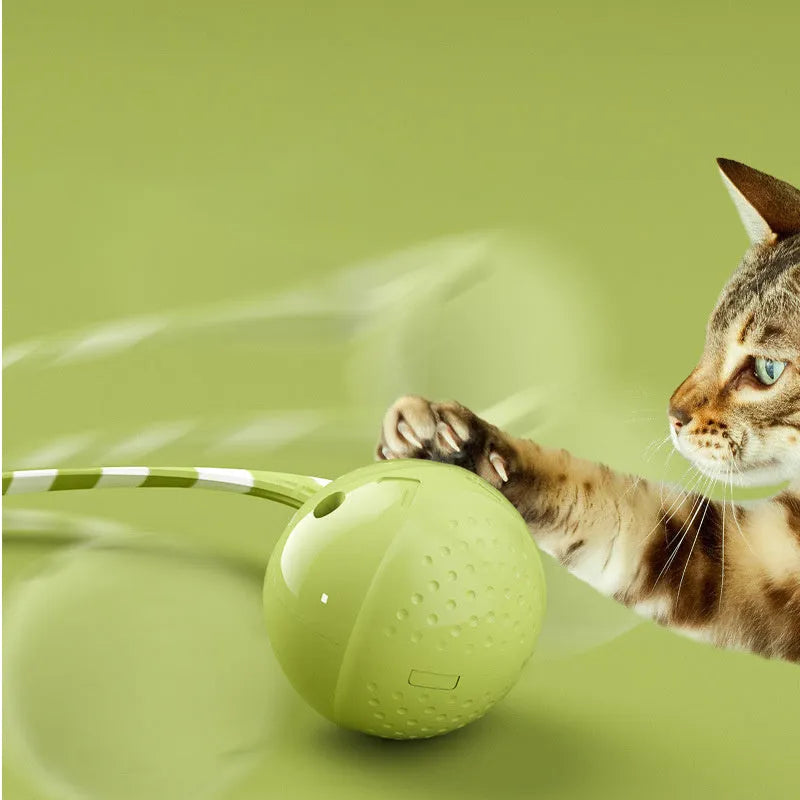 Green electric wagging tail cat ball toy on floor with motion sensor for interactive play