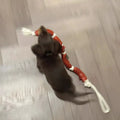 Brown dog rope toy with sausage segments and hand grip measuring 108cm length