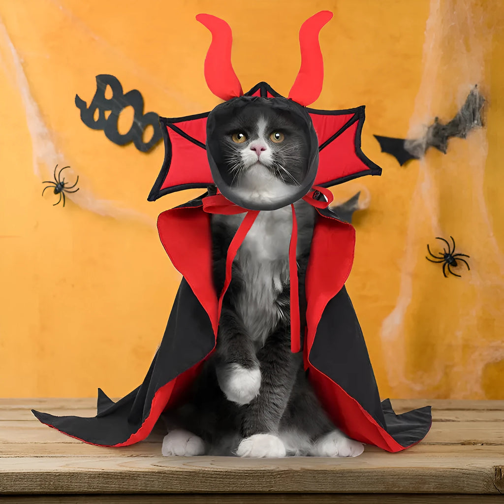 Black Halloween vampire costume for pets including cloak and hat on animal model