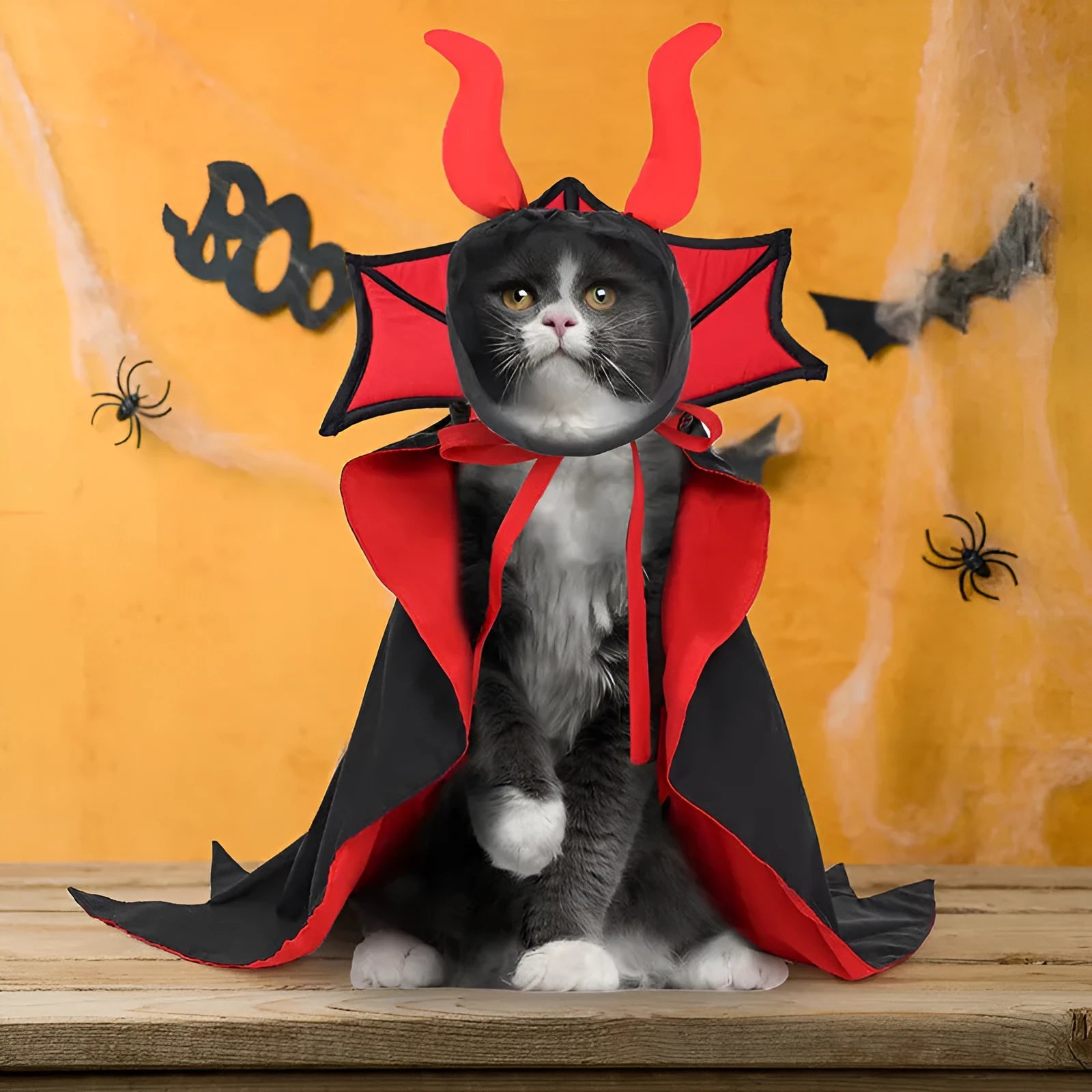 Black Halloween vampire costume for pets including cloak and hat on animal model