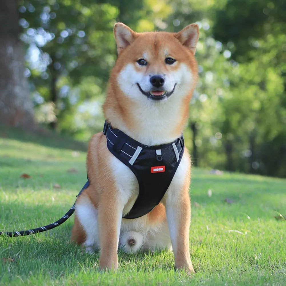 Nylon no pull reflective dog harness vest in orange oxford cloth with adjustable buckles and handle