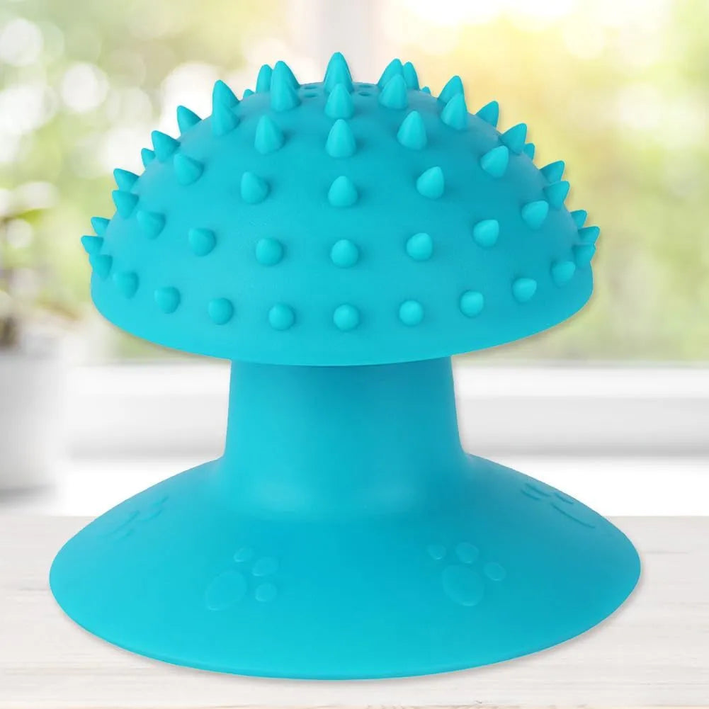 Blue cat self groomer mounted on wall with brush head and cat mint compartment