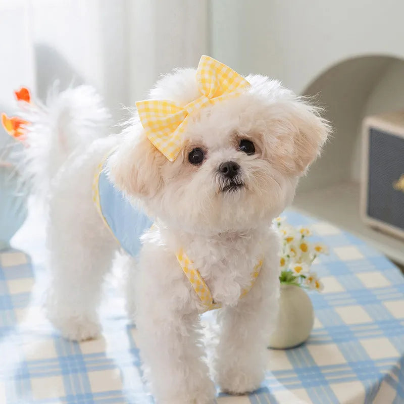 Small dog wearing a blue vest with a raised heart texture and bow suspenders on the front.