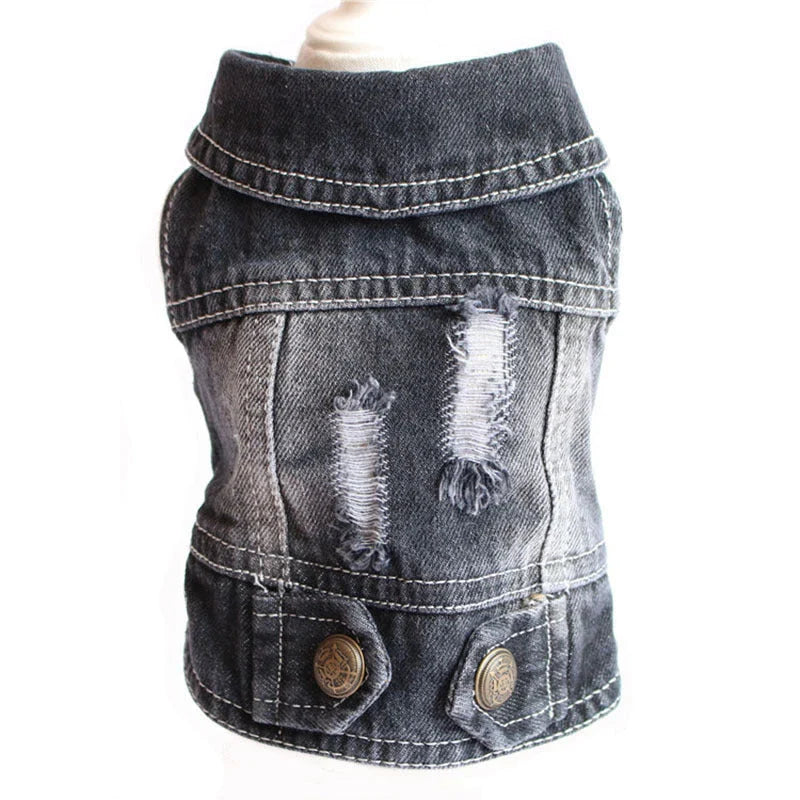 Stylish denim dog jacket with various designs like hoods, fringes, and patterns for trendy pet fashion