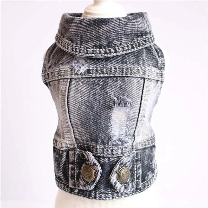 Stylish denim dog jacket with various designs like hoods, fringes, and patterns for trendy pet fashion