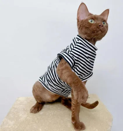Winter stretch fleece vest for pets in green stripes on a small dog