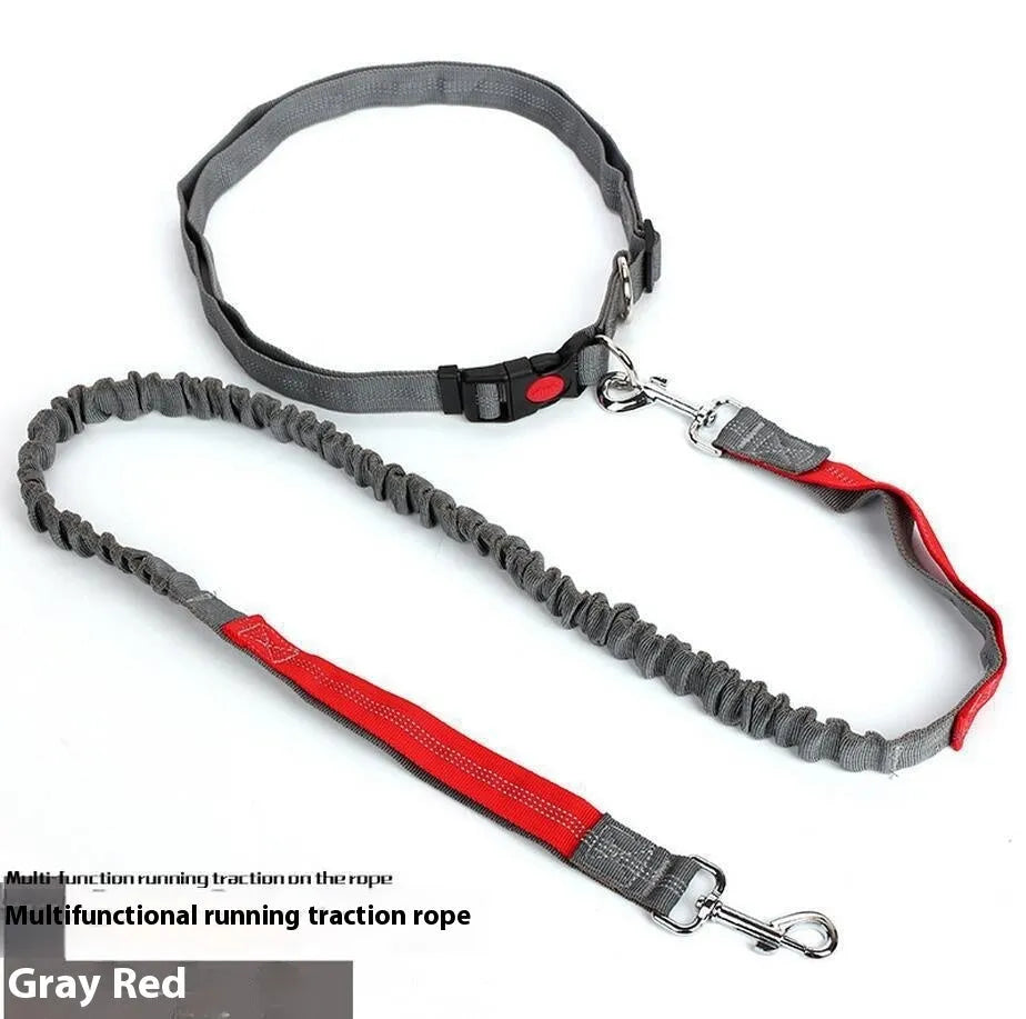 Grey and green reflective elastic dog leash for outdoor running, showing 2.5cm wide nylon construction.