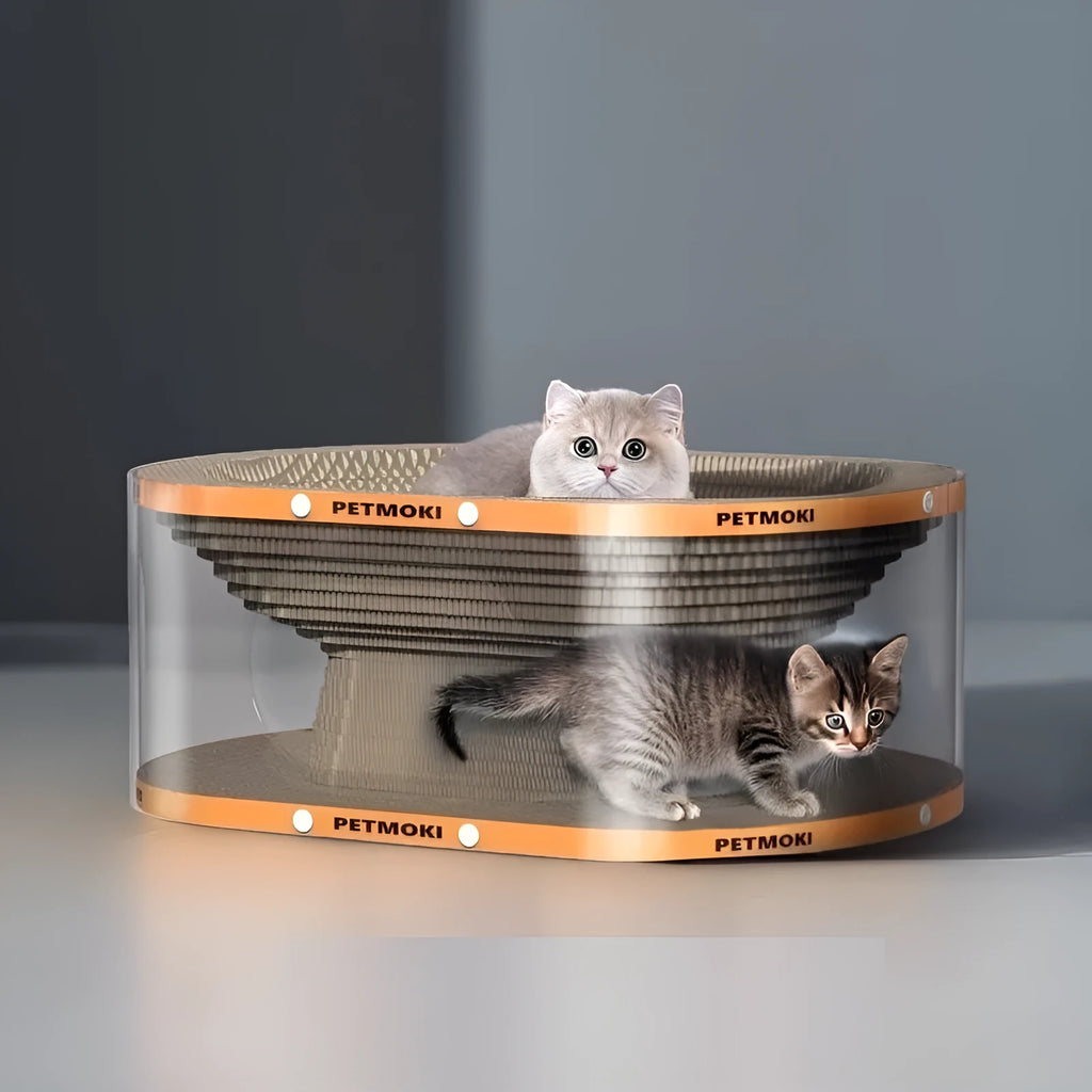 White transparent diamond-pattern cat scratch board and tunnel nest toy for indoor cats.