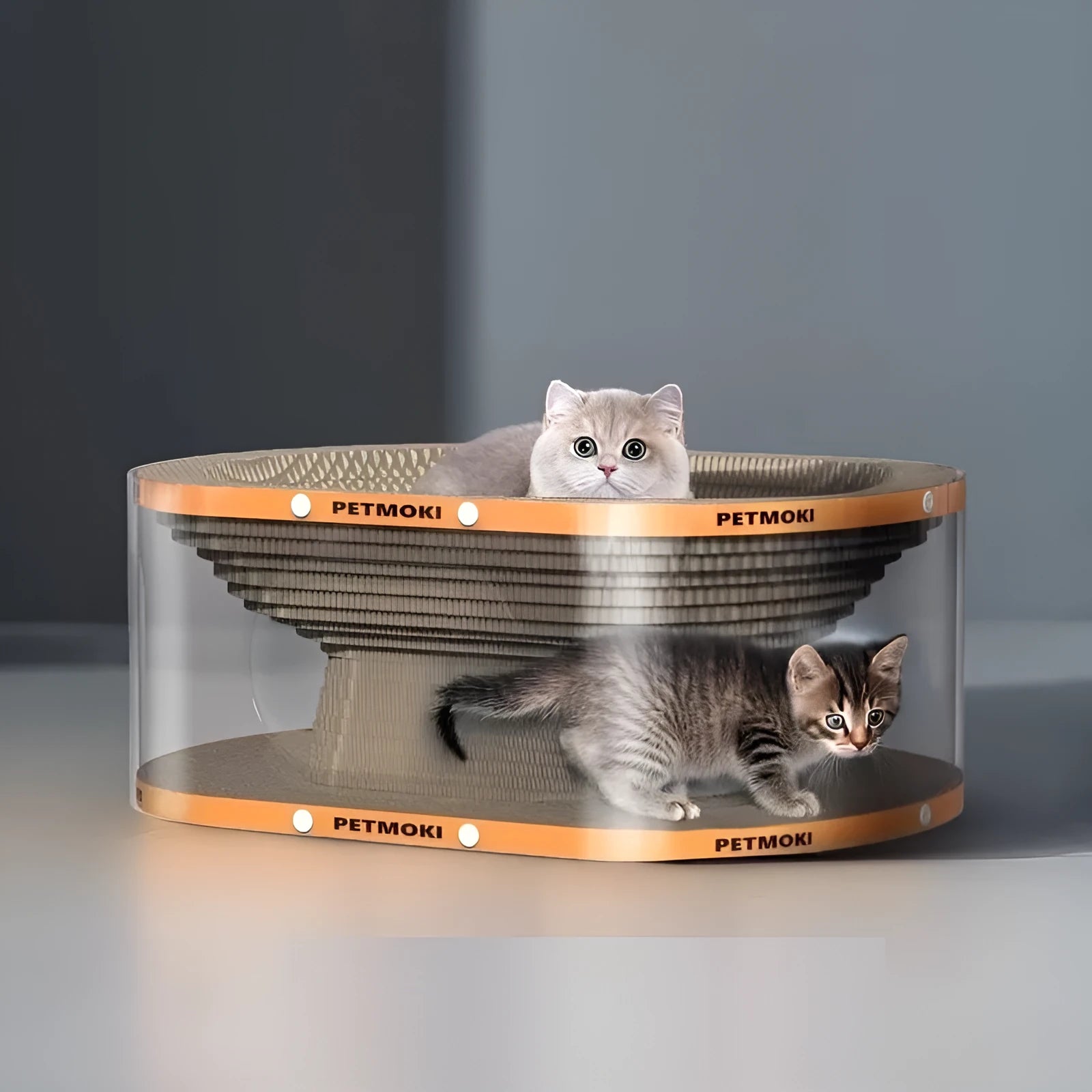 White transparent diamond-pattern cat scratch board and tunnel nest toy for indoor cats.