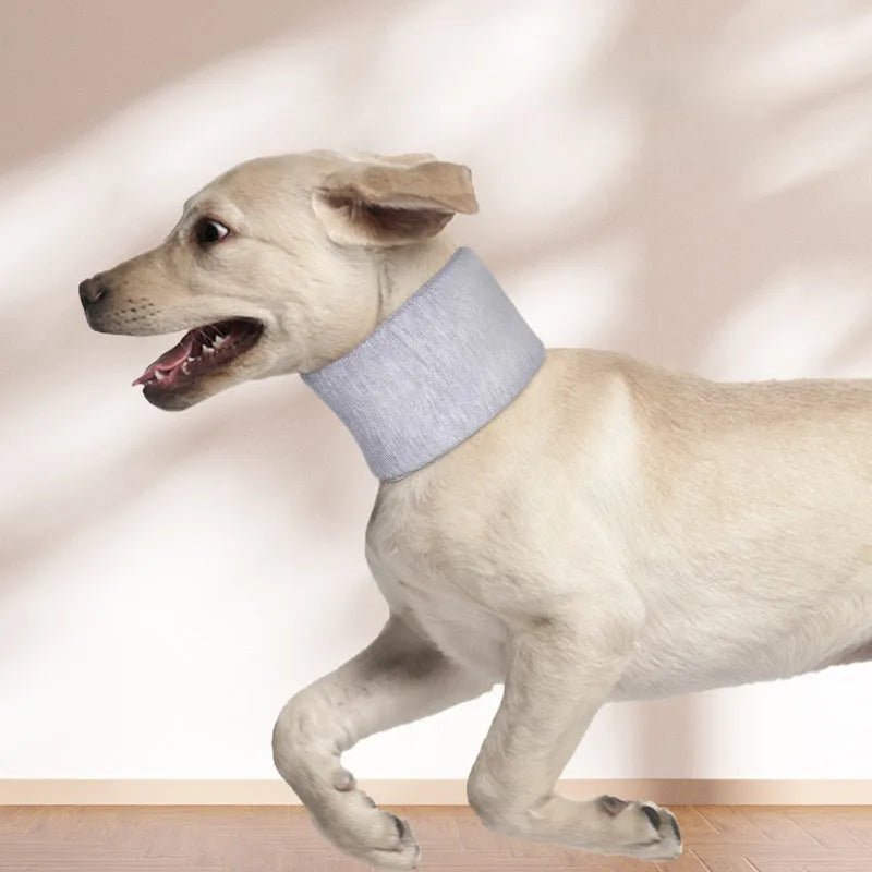 Soft cat cone recovery collar in grey or pink with four size options for post-surgery protection
