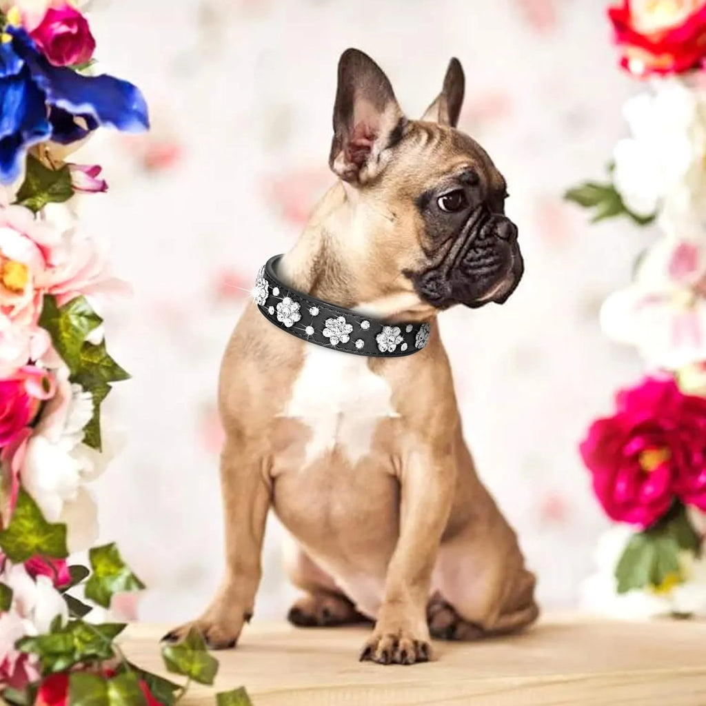 A studded rhinestone flower pattern on a soft black PU leather dog collar with a metal D-ring.