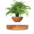 Maglev potted desktop ornament in light wood grain showing floating pot above base with UK plug