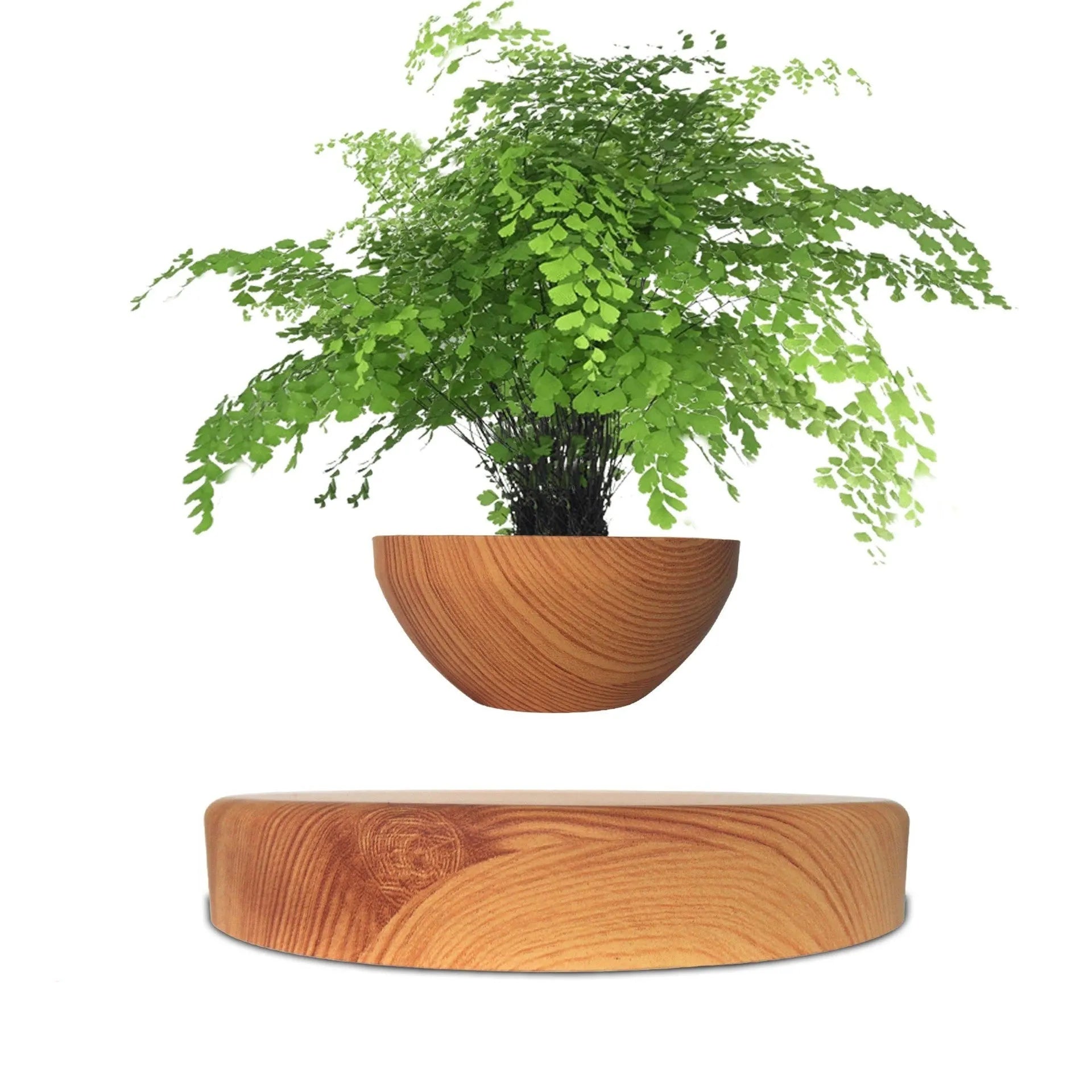 Maglev potted desktop ornament in light wood grain showing floating pot above base with UK plug