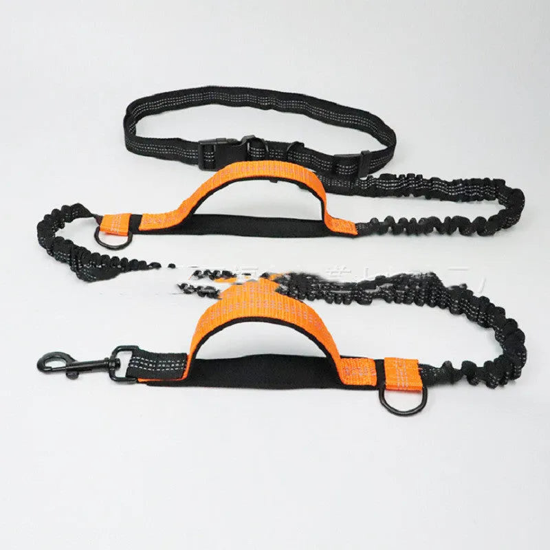 Blue adjustable waist dog running belt leash extended on grass