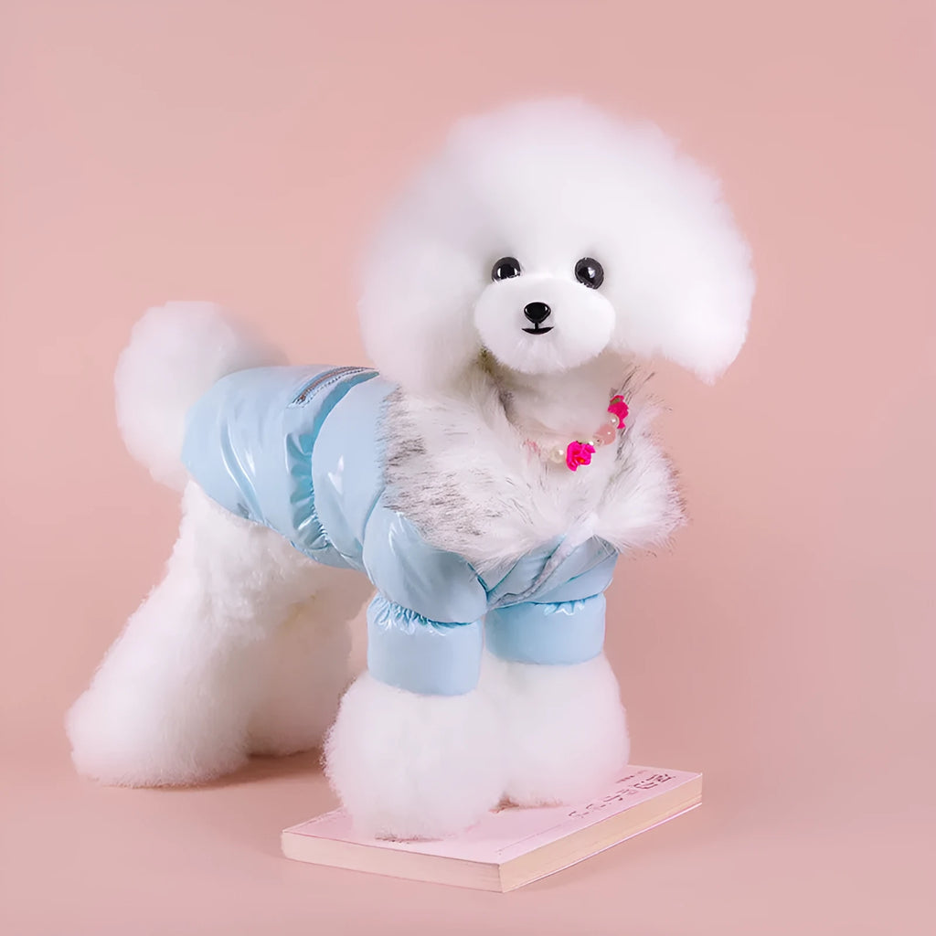 Blue cotton dog coat with British style design for autumn and winter wear