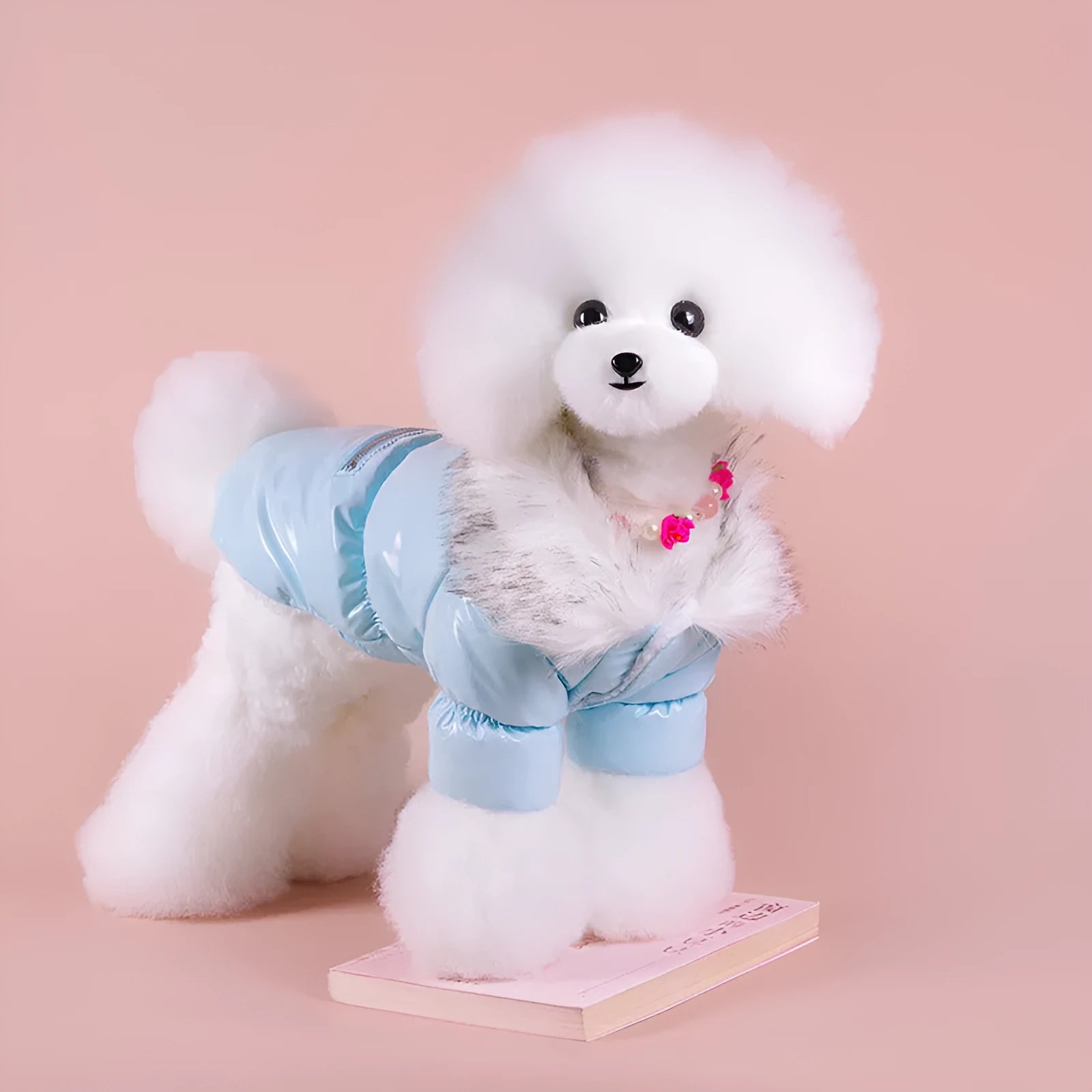 Blue cotton dog coat with British style design for autumn and winter wear
