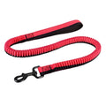 Green anti-violence dog training leash with elastic shock-resistant design and metal clip