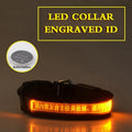 Pet Glow Collar Radium Carved Lettering Dog Collar in PP material with glow feature for night walks