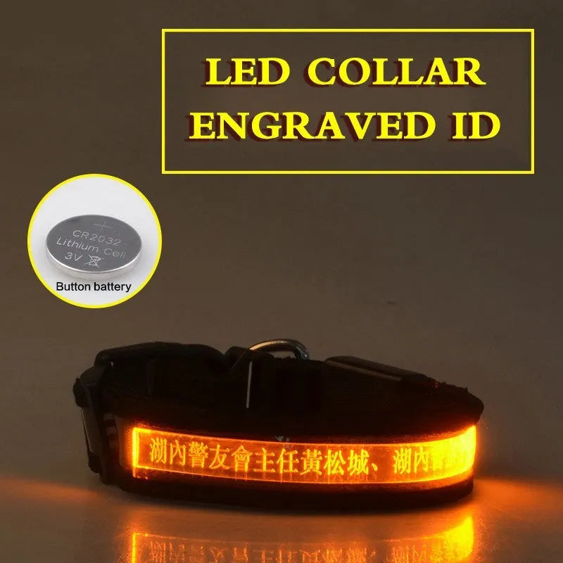 Pet Glow Collar Radium Carved Lettering Dog Collar in PP material with glow feature for night walks