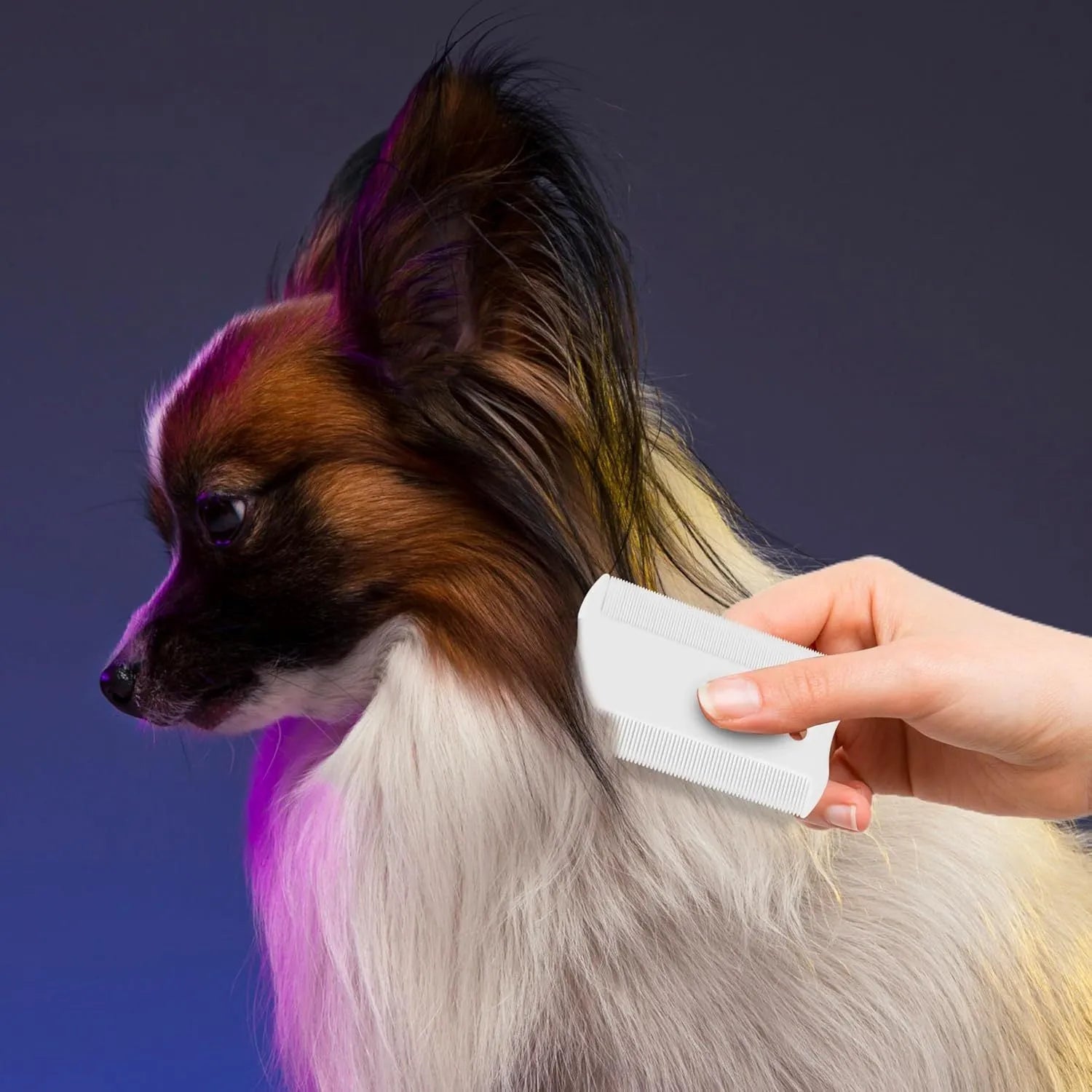 Double-sided plastic flea comb for pets showing dense teeth on one side and standard teeth on the other.