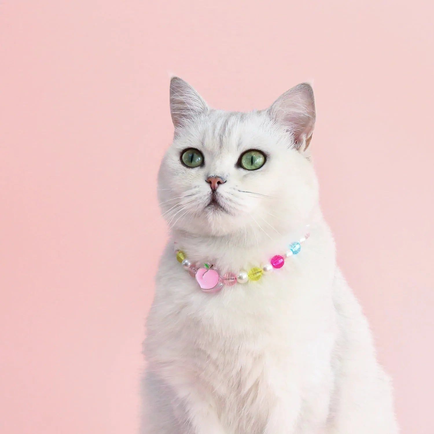 Colourful plastic bead necklace for cats in peach, rainbow, or small flower patterns with adjustable XS or S sizing