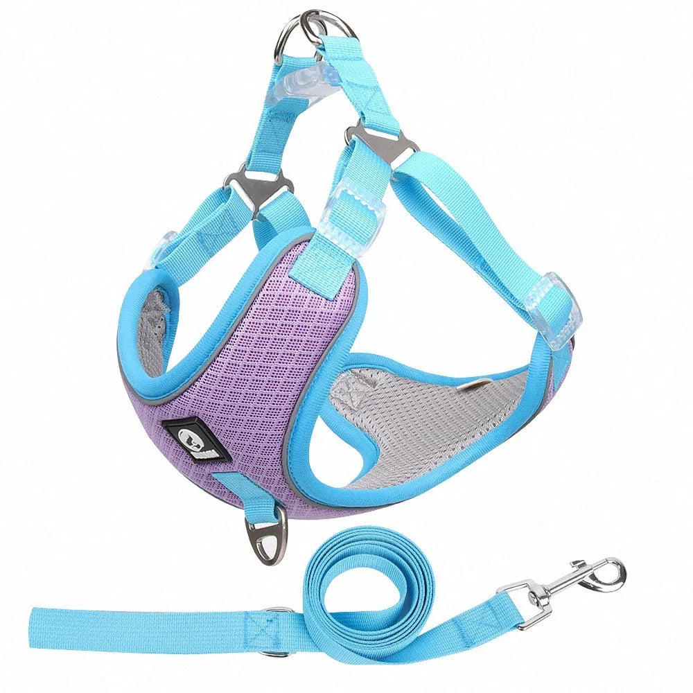 Adjustable breathable mesh dog harness with reflective piping in various colors