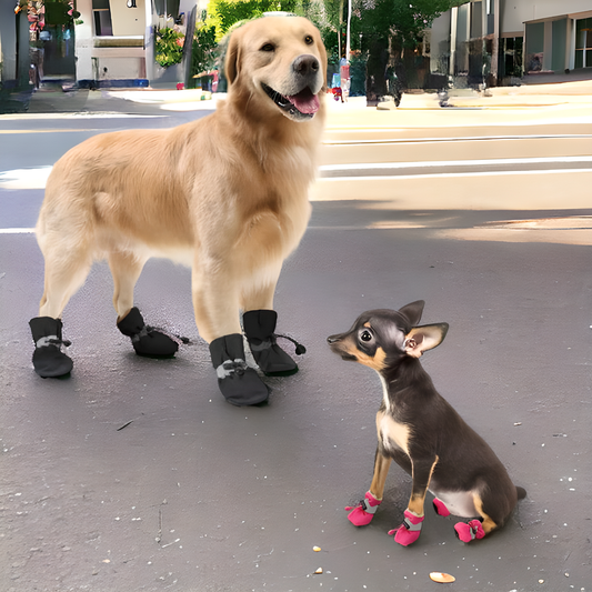 Waterproof Small Pet Anti-slip Rain Boots (4-Pack) in various colors for Kiwi pets