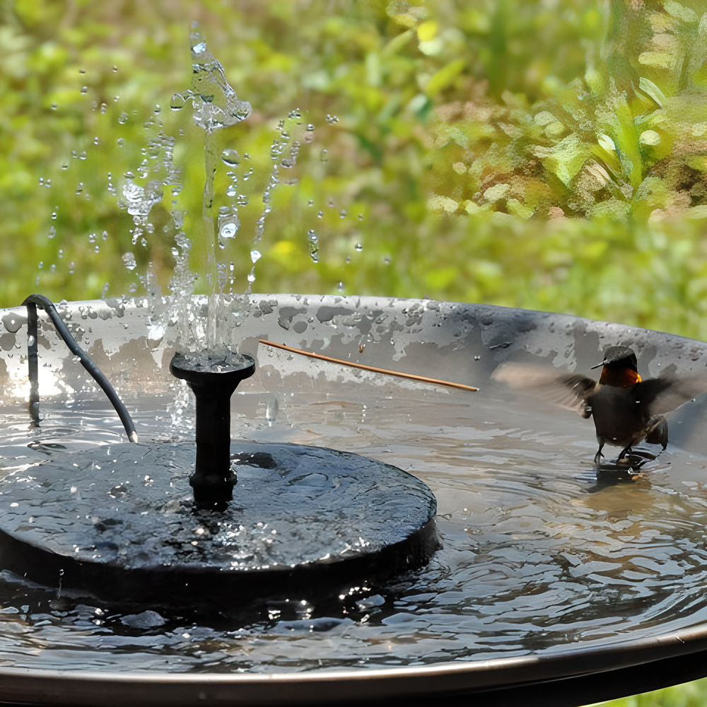 Eco-friendly solar-powered bird fountain with adjustable nozzle heads for customizable water patterns, perfect for Kiwi gardens and backyards