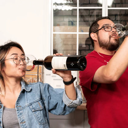 Premium borosilicate glass wine glass topper that transforms any wine bottle into a personal wine glass