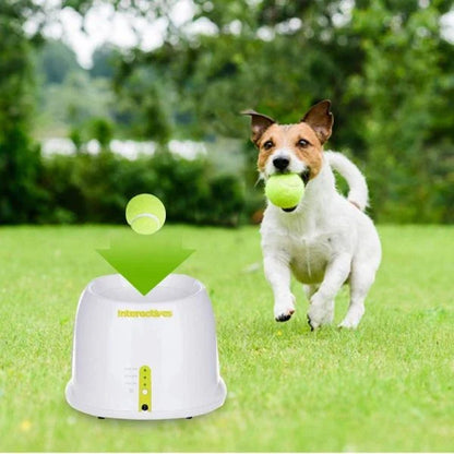 Automatic Tennis Ball Launcher, a device designed to launch tennis balls for small to medium-sized dogs to chase and retrieve, providing exercise and mental stimulation.