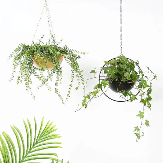 Decorative iron hanging planter basket with intricate design, suitable for indoor and outdoor use