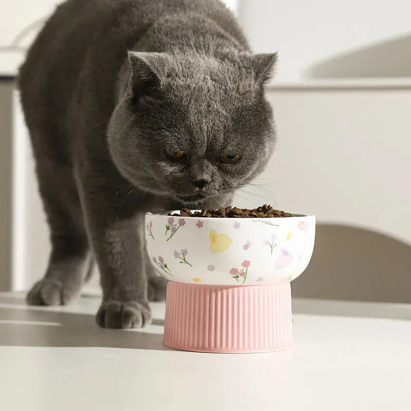 Ceramic pet water bowl with a rounded shape and sleek pink finish, designed to provide a comfortable and healthy drinking experience for cats and small dogs.