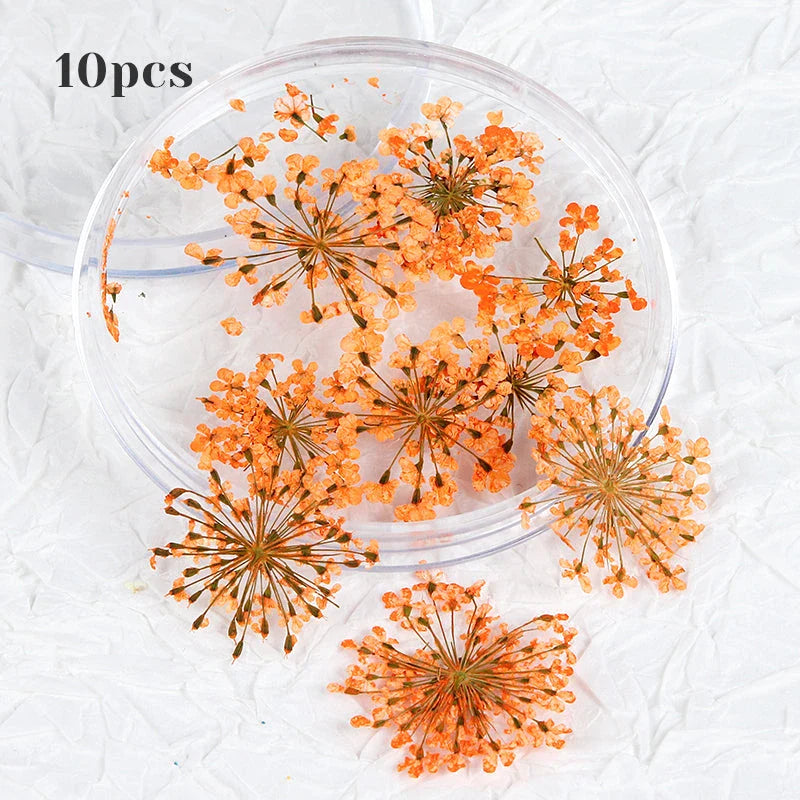 3D dried flower nail art decorations set with assorted colourful real flowers