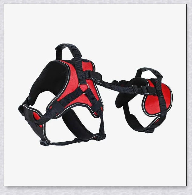 A multi-functional full-body dog lifting harness with long handles for easy support and assistance