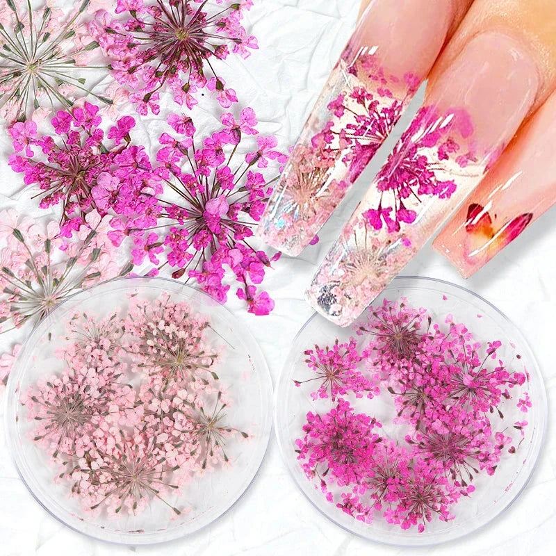 3D dried flower nail art decorations set with assorted colourful real flowers