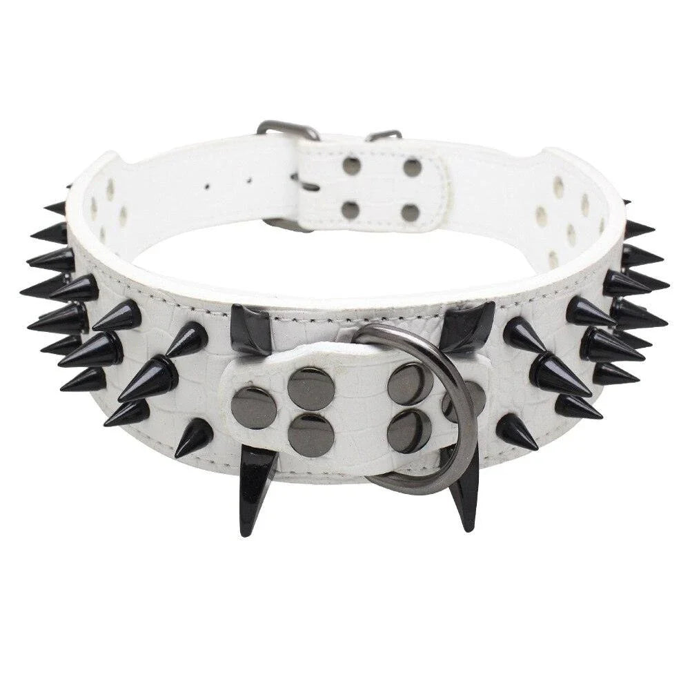 A stylish pet collar with a punk-inspired design, featuring metal accents and an adjustable fit for comfortable wear