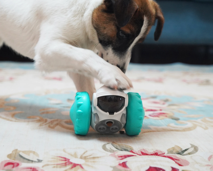 SmartFeed™ Interactive Brain-Boosting Pet Toy Snack Dispenser in various colors for dogs and cats