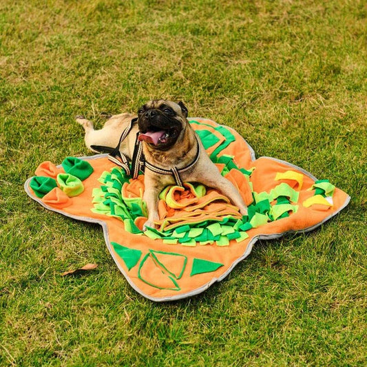 A fleece Snuffle Mat with hidden pockets for dogs to sniff and forage for treats, promoting natural behaviours and mental stimulation.