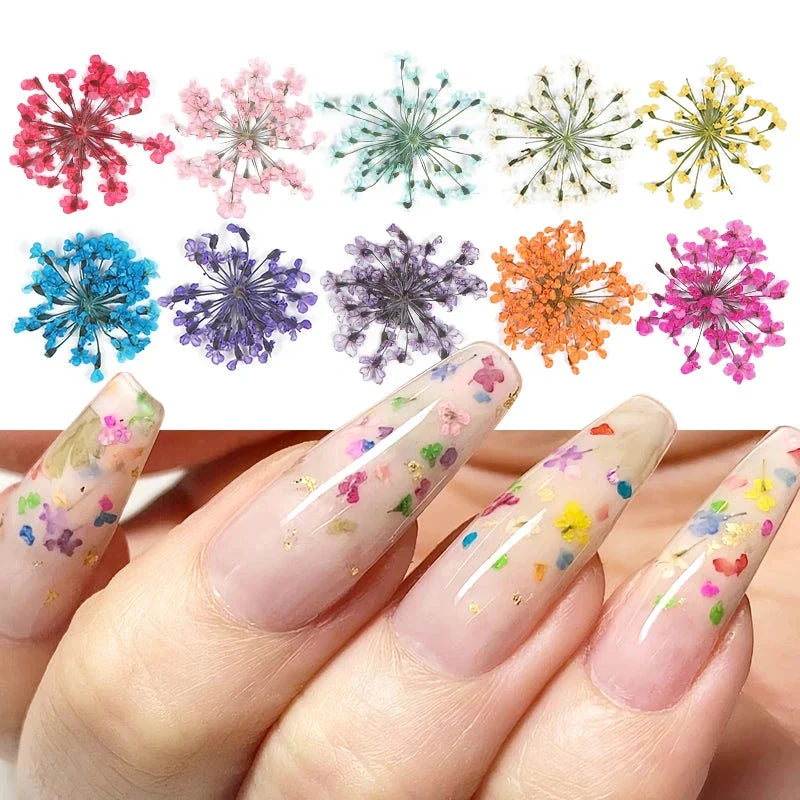 3D dried flower nail art decorations set with assorted colourful real flowers