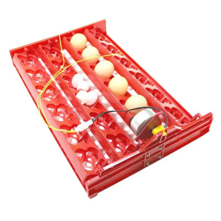 Automatic 24-Egg Incubator Tray for effortless chick hatching with precise temperature and humidity control