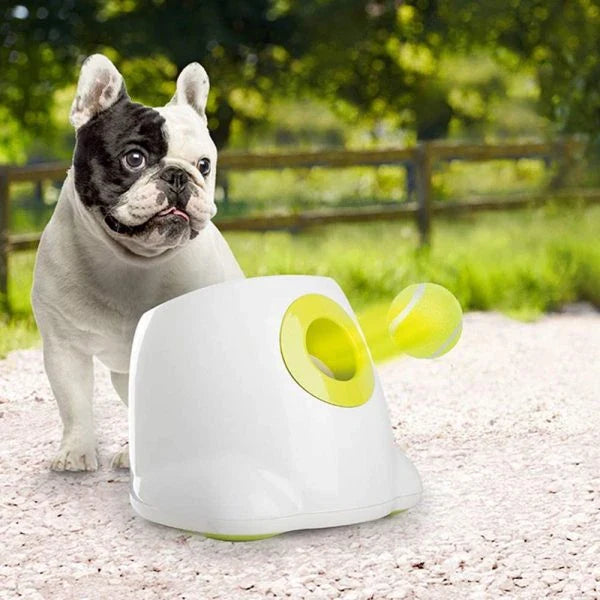 Automatic Tennis Ball Launcher, a device designed to launch tennis balls for small to medium-sized dogs to chase and retrieve, providing exercise and mental stimulation.