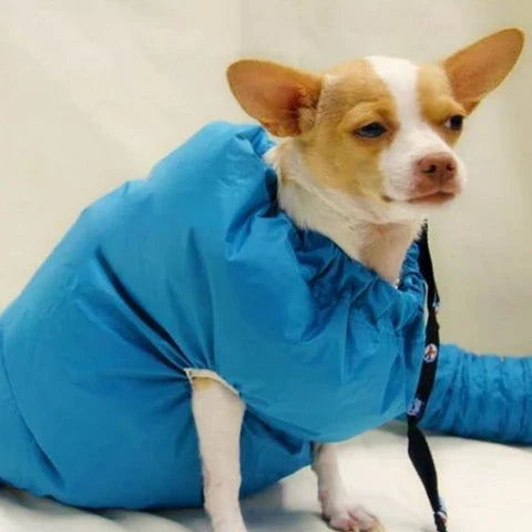 A dog drying bag made of Oxford cloth that uses a hair dryer to quickly and effectively dry a wet dog.