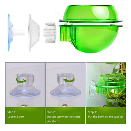 Versatile Chameleon Feeding System with suction cups, soft pad, and hard cover for secure attachment to glass enclosures