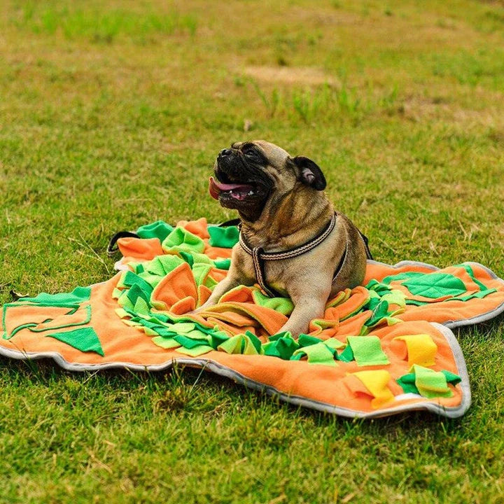 A fleece Snuffle Mat with hidden pockets for dogs to sniff and forage for treats, promoting natural behaviours and mental stimulation.