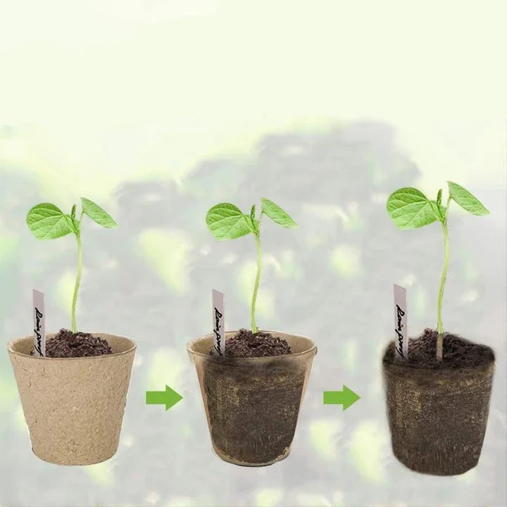 Biodegradable paper nursery pots and plant labels for eco-friendly gardening in New Zealand