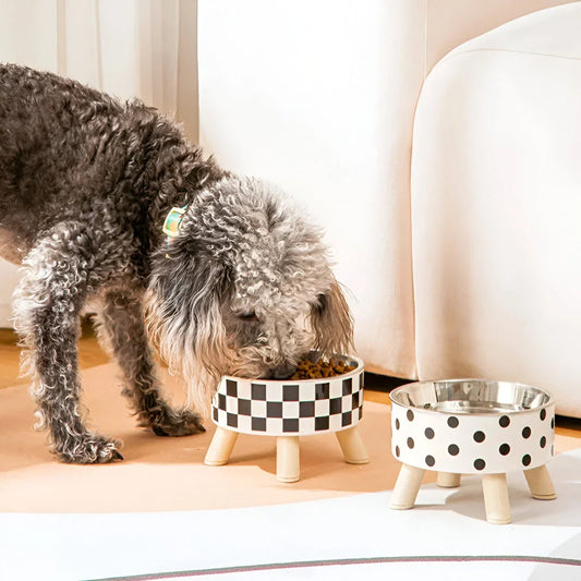 Elevated cat feeder bowl with anti-choking design for cats and small to medium dogs